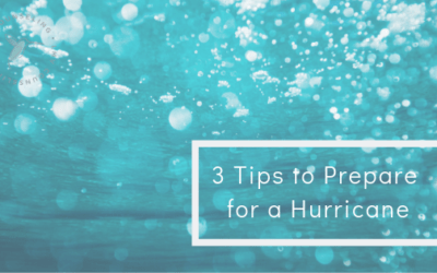 Preparing for a Hurricane- Mental Health Edition