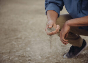Grounding Exercises for Emotional Pain