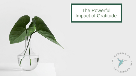 The Powerful Impact of Gratitude