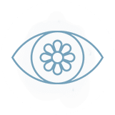 icon7